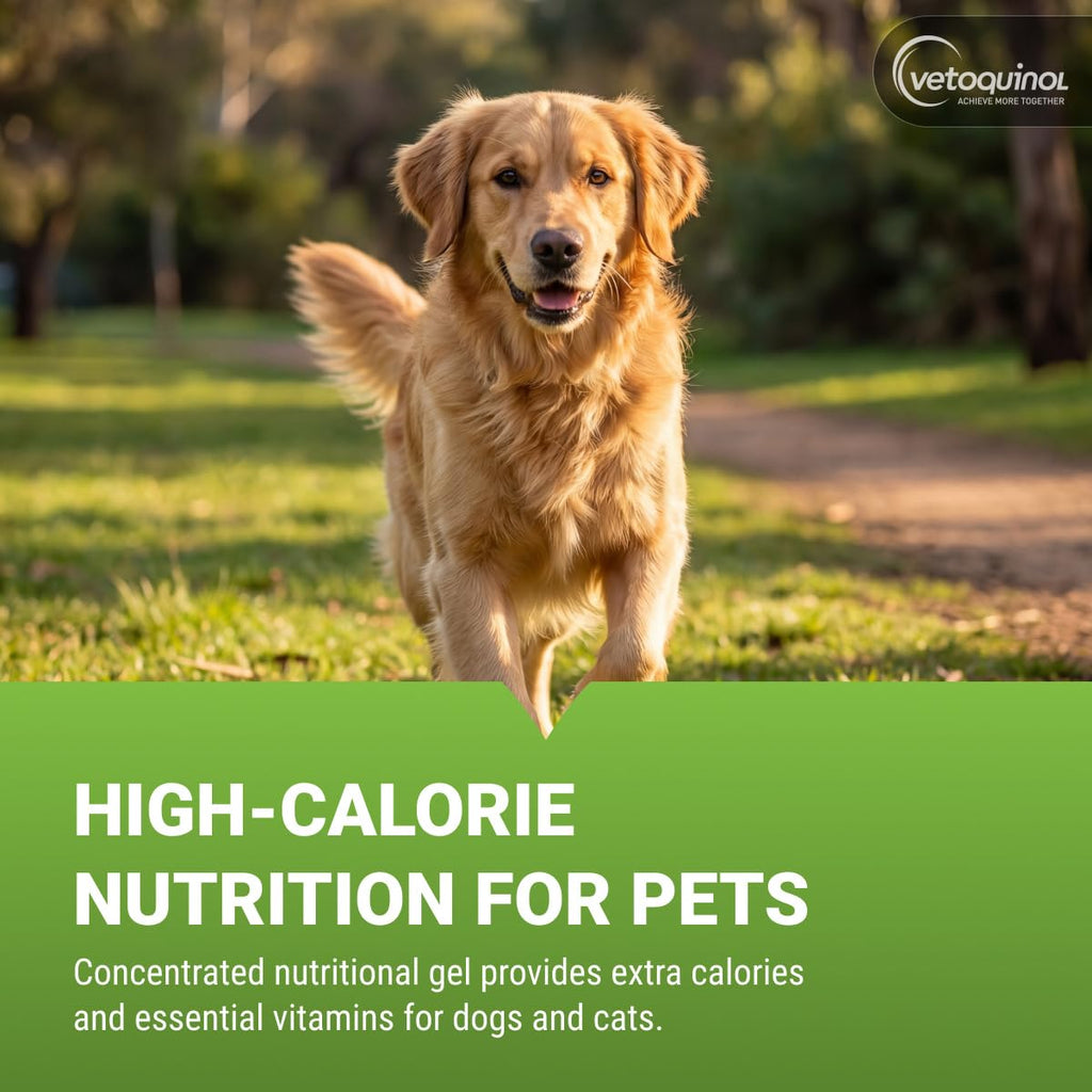 High-Calorie Gel for Cats and Dogs 4.25 oz X714