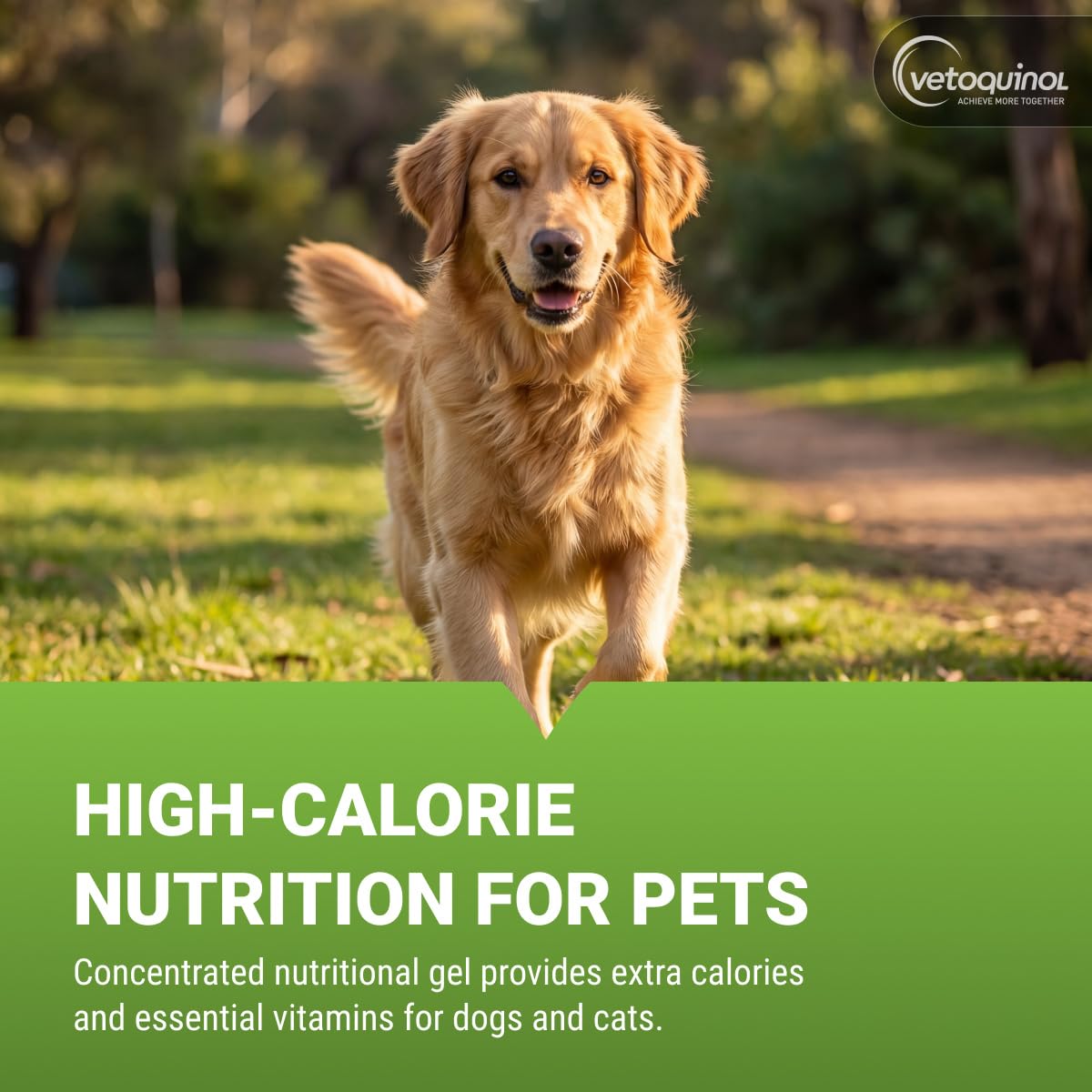 High-Calorie Gel for Cats and Dogs 4.25 oz X714