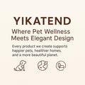 Elevated Stainless Steel Cat and Dog Bowl Set R7432