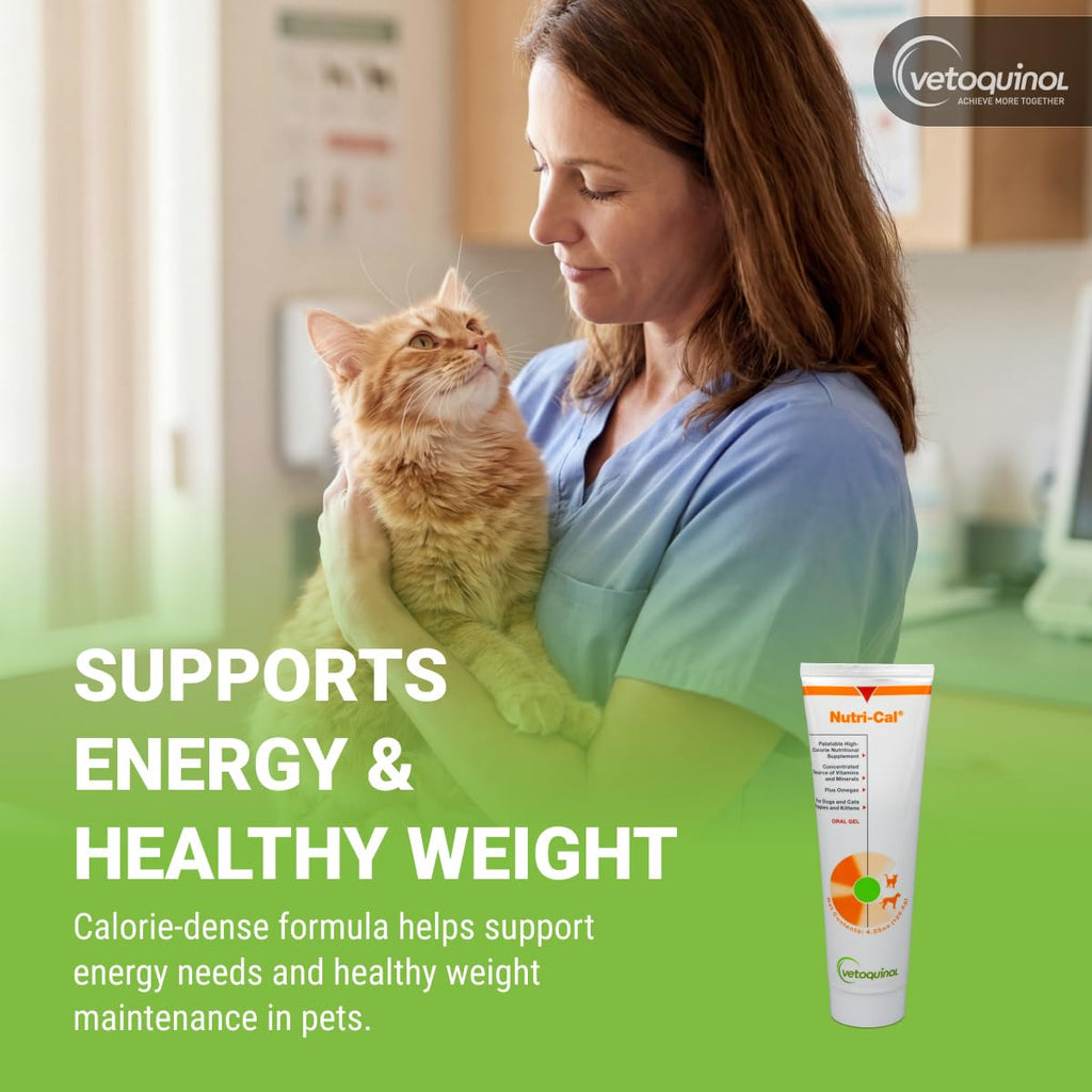High-Calorie Gel for Cats and Dogs 4.25 oz X714