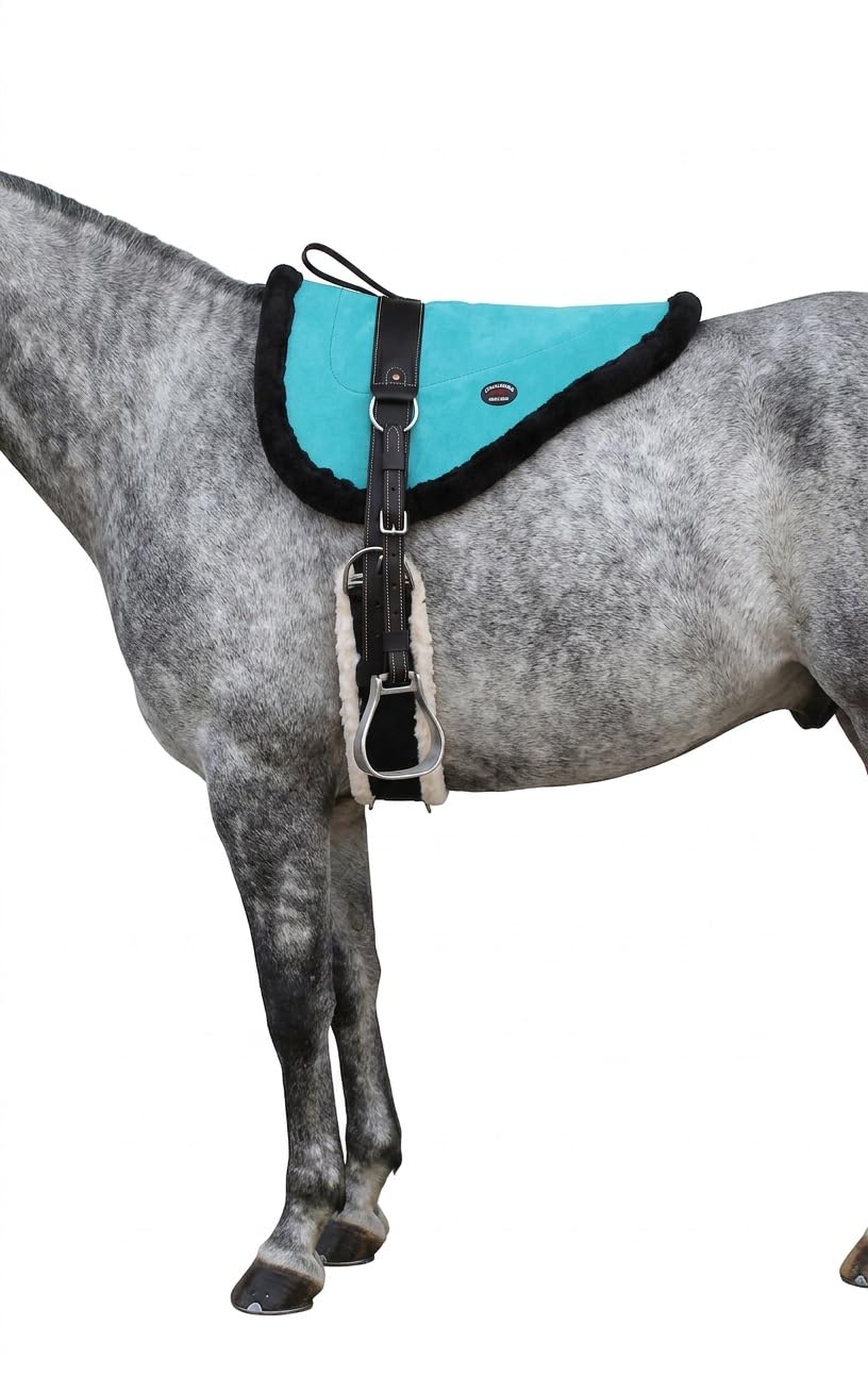Turquoise Suede Leather Western Saddle Pad with Stirrups E902