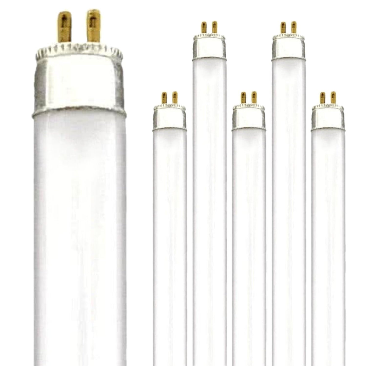 24 Inch 24W 5000K T5 Fluorescent Bulb G5 Bipin Base Pack of 6 G699