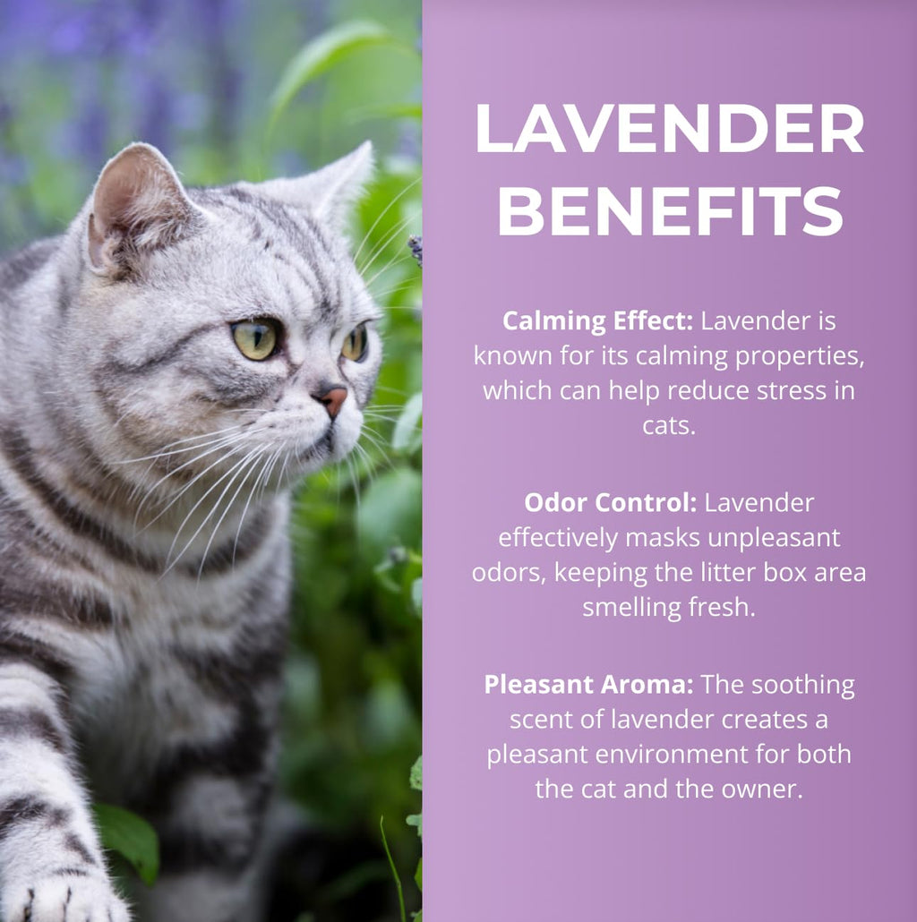 Lavender Scented Diatomaceous Earth 8.8 lb J2581