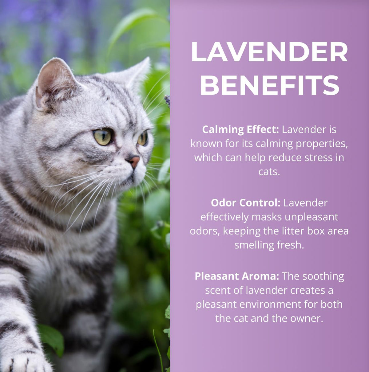 Lavender Scented Diatomaceous Earth 8.8 lb J2581