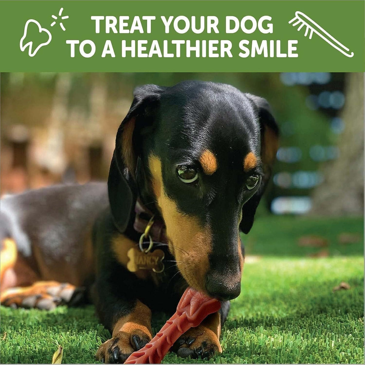 Natural Grain-Free Dental Dog Treats Variety Pack S1457