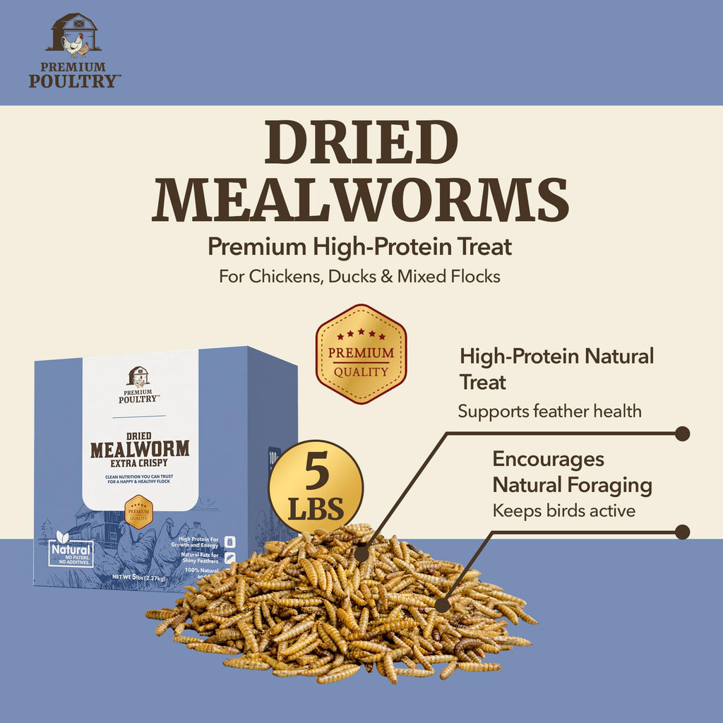 Mealworms for Chickens & Wild Birds, 5lb, 4-Pack K526340