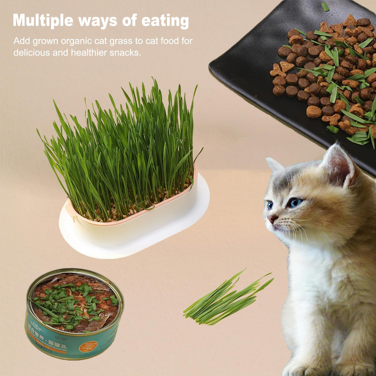 3Pcs Plastic Cat Grass Planter Hydroponic Growing Kit T141669