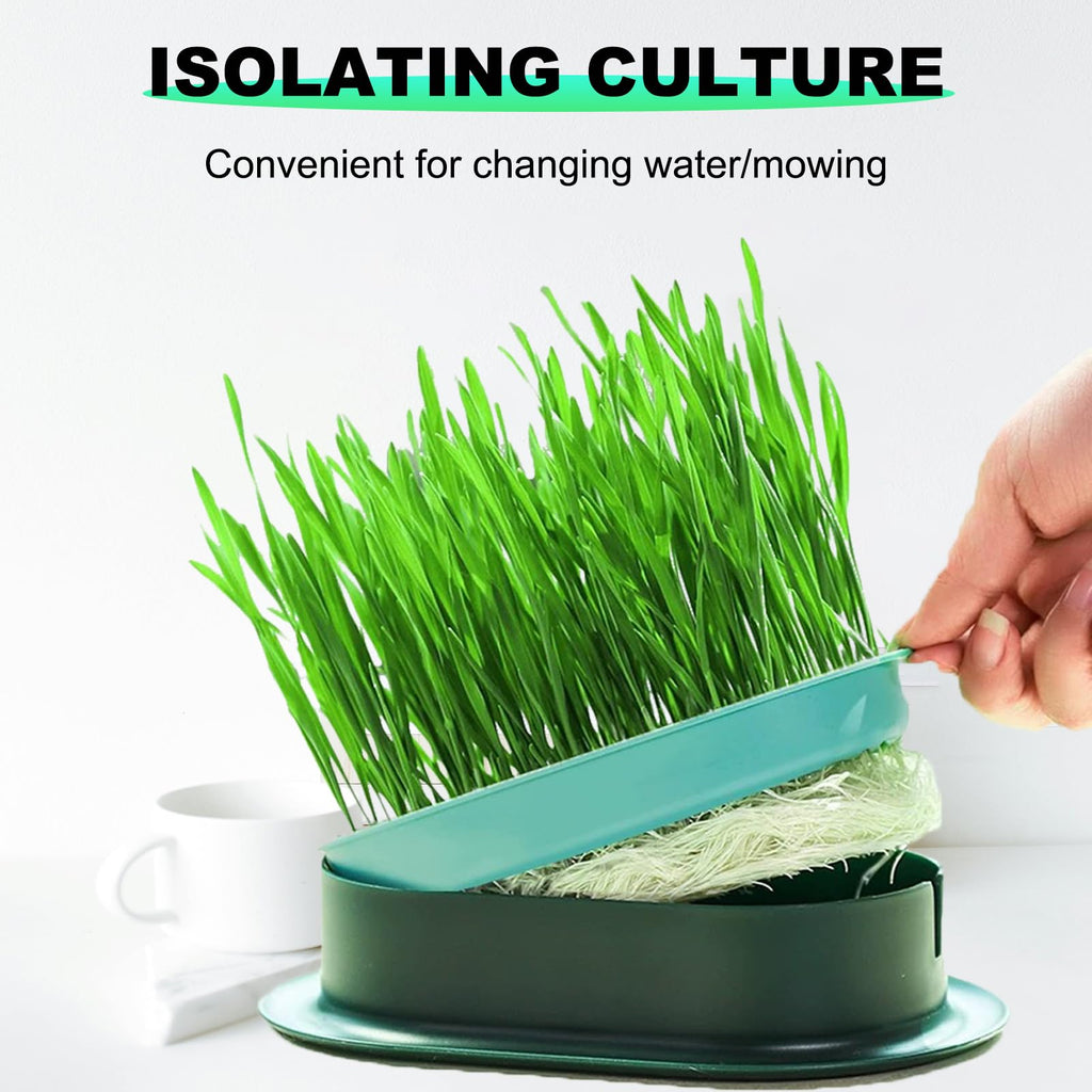 3Pcs Plastic Cat Grass Planter Hydroponic Growing Kit T141669