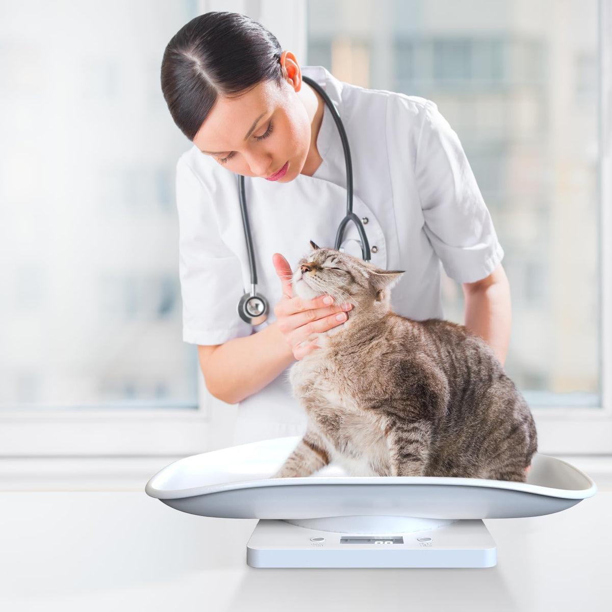 Digital Pet Scale for Small Animal, LED Display, Measures Up to 15kg, White W105
