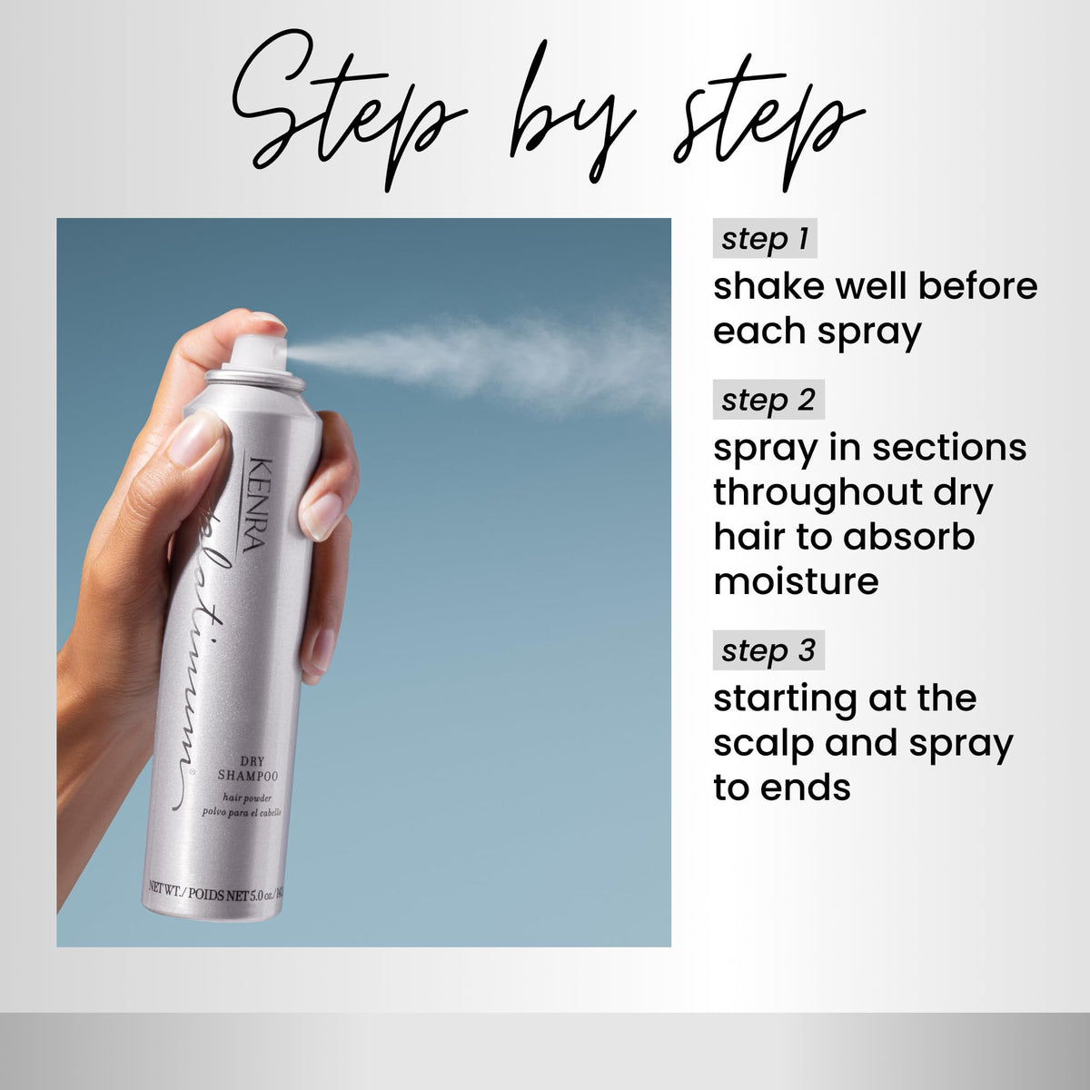 Oil Absorbing Dry Shampoo Spray N440