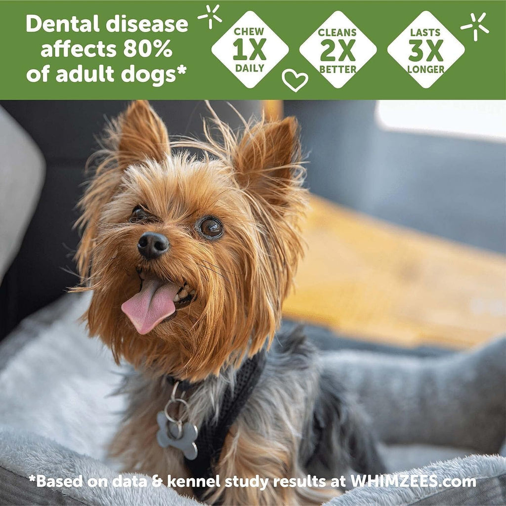 Natural Grain-Free Dental Dog Treats Variety Pack S1457