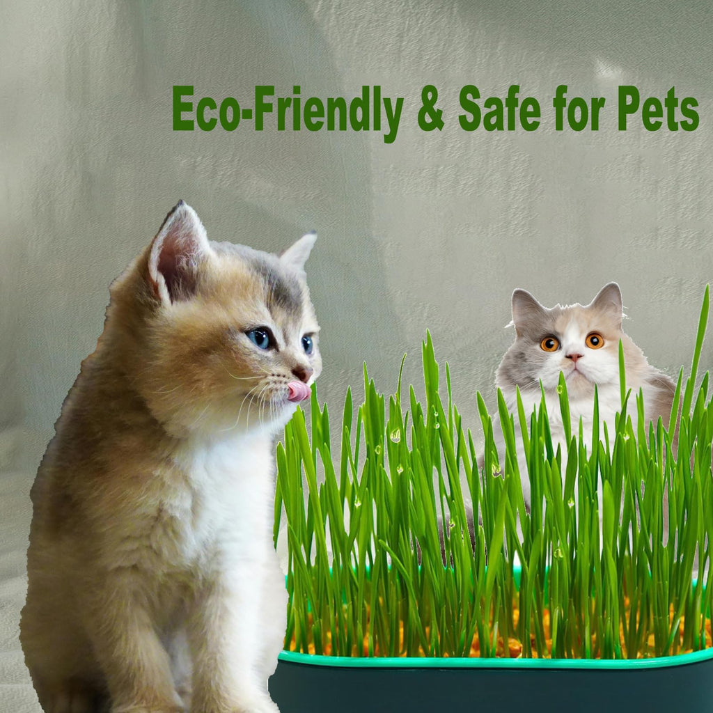 3Pcs Plastic Cat Grass Planter Hydroponic Growing Kit T141669