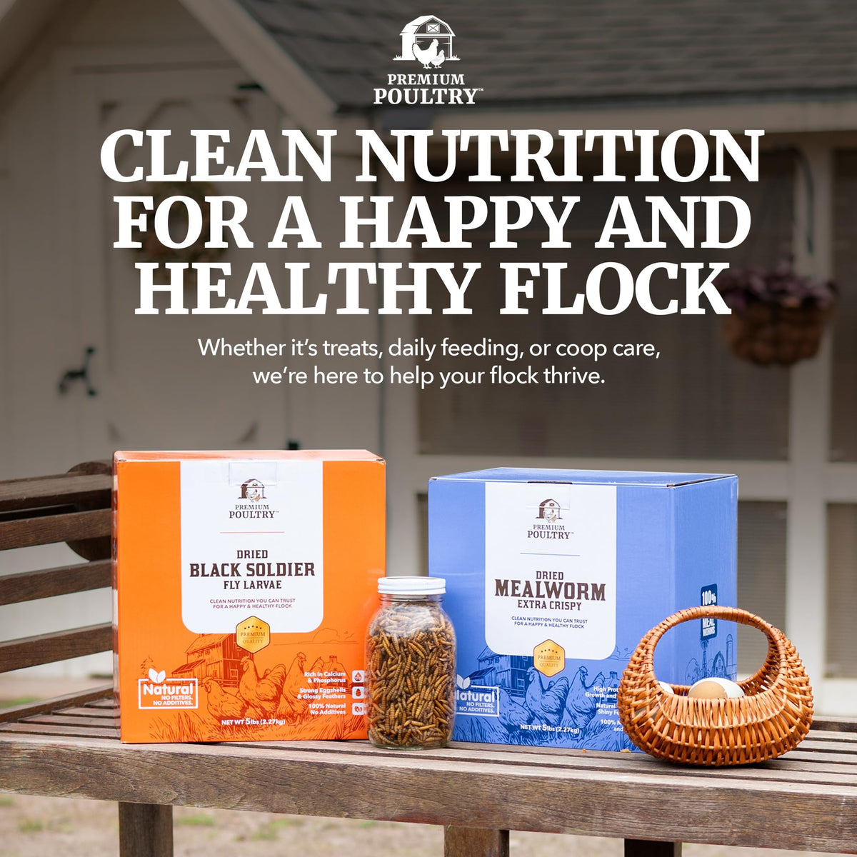 Mealworms for Chickens & Wild Birds, 5lb, 4-Pack K526340