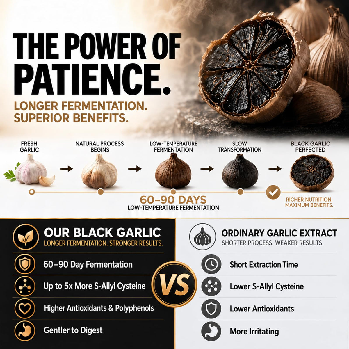 Black Garlic Extract Softgels 300 Count G794