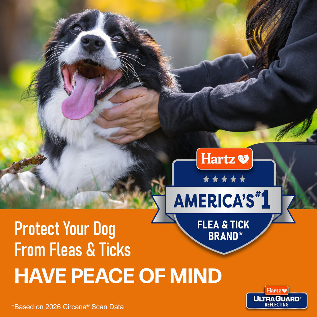 Flea & Tick Collar for Dogs and Puppies W96866