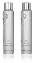 Oil Absorbing Dry Shampoo Spray N440