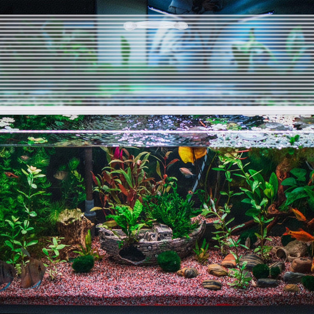 Clear 16 x 8 Inch Aquarium Lids Canopy Set L809