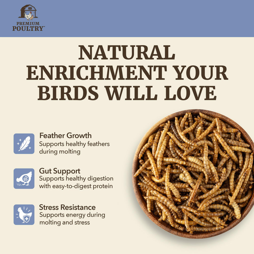 Mealworms for Chickens & Wild Birds, 5lb, 4-Pack K526340