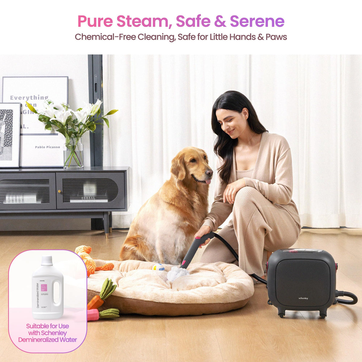 21-in-1 Steam Cleaner N894