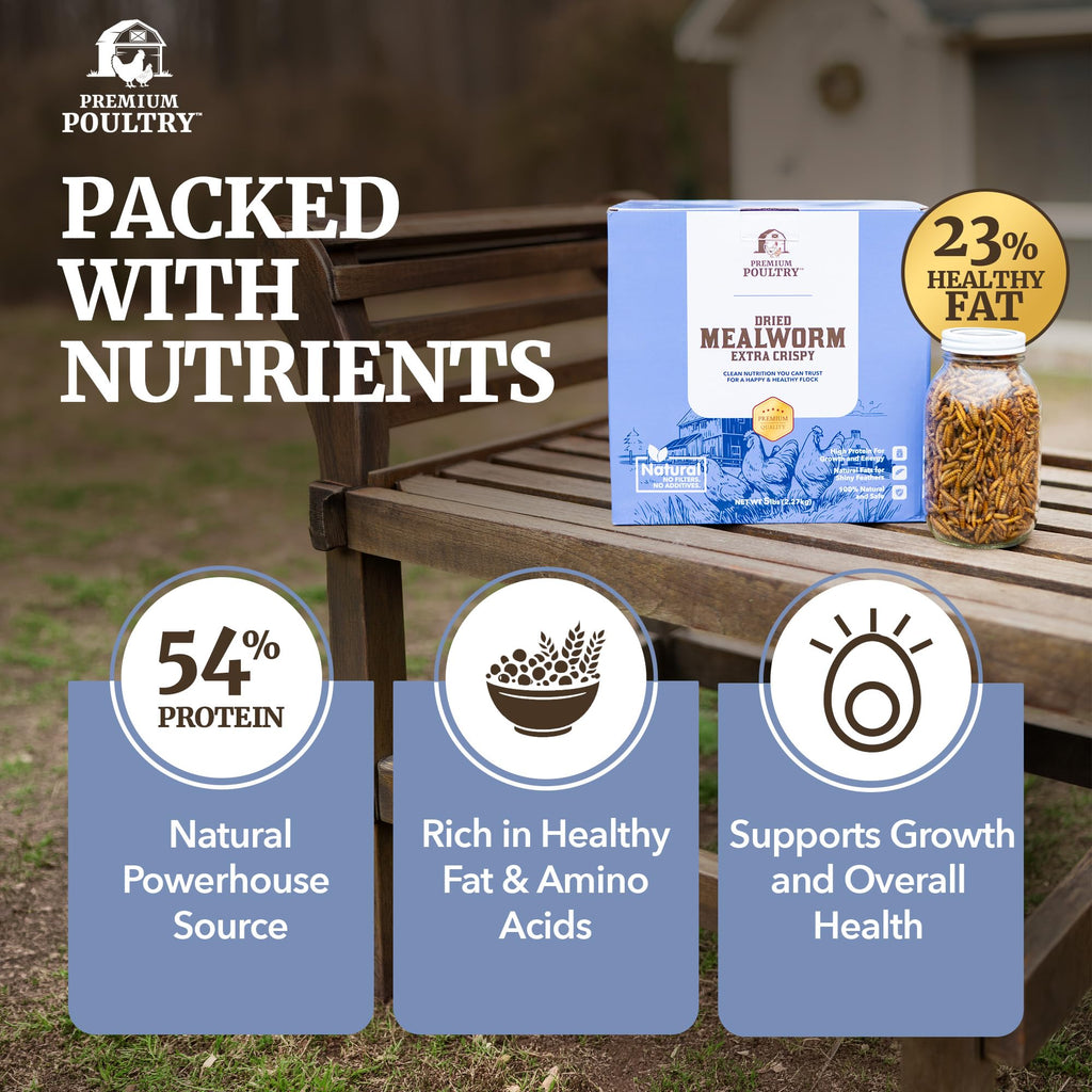 Mealworms for Chickens & Wild Birds, 5lb, 4-Pack K526340