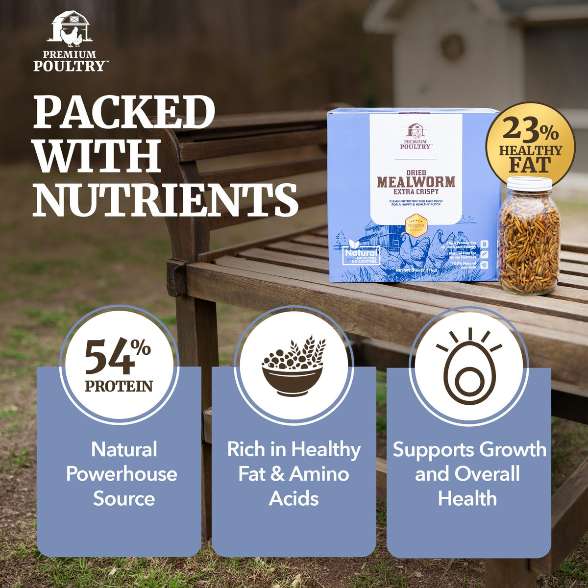 Mealworms for Chickens & Wild Birds, 5lb, 4-Pack K526340