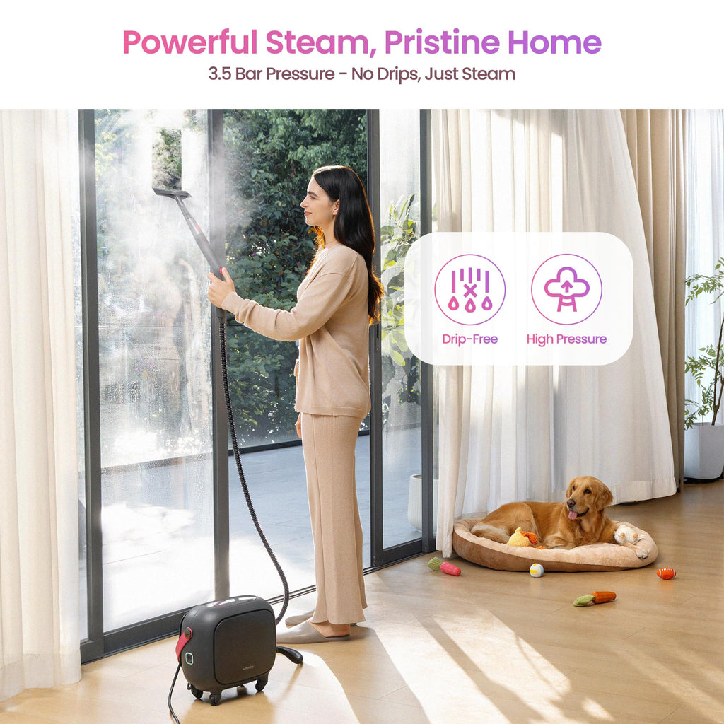 21-in-1 Steam Cleaner N894