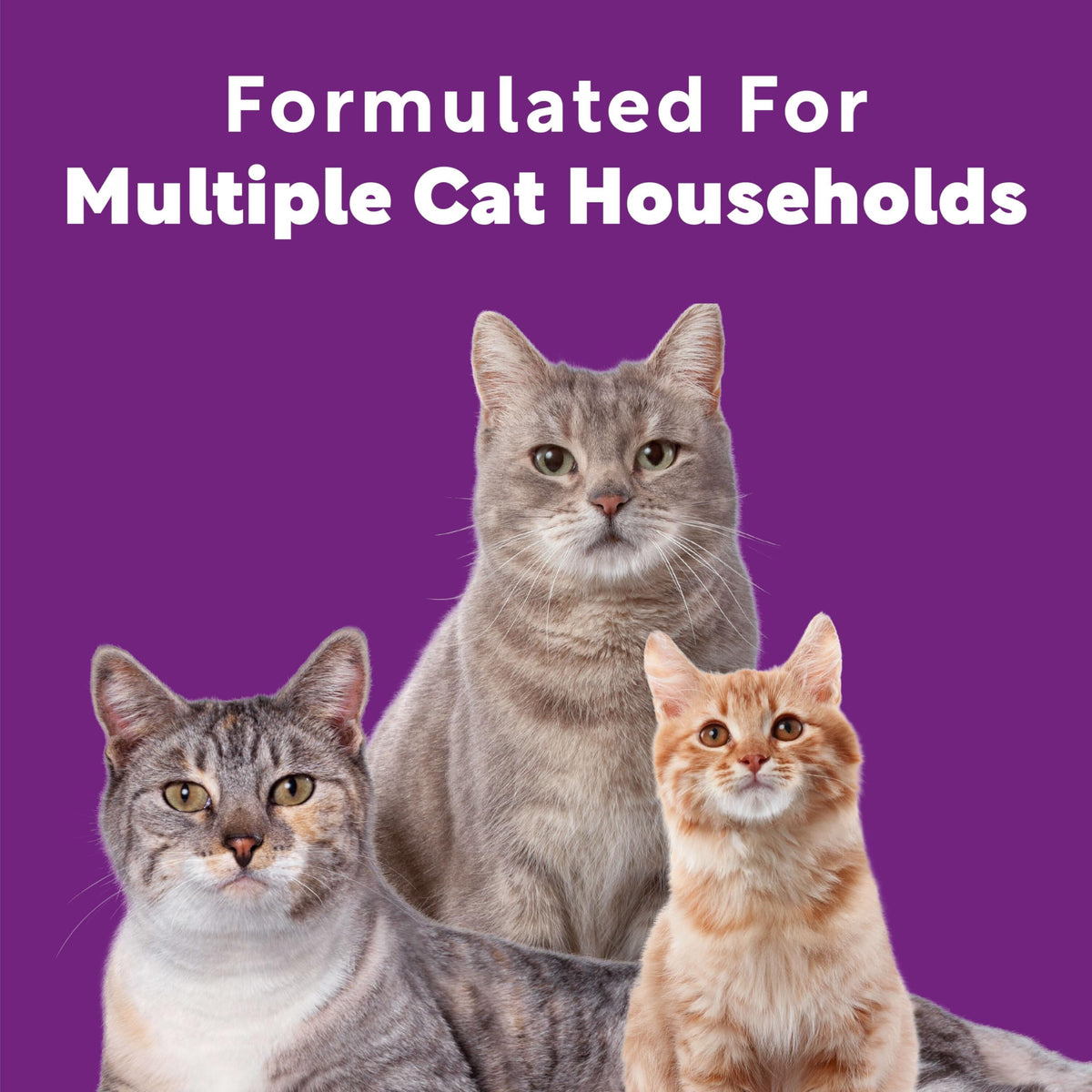 Multi Cat Litter Meadow Fresh Scent 14 lb H9386