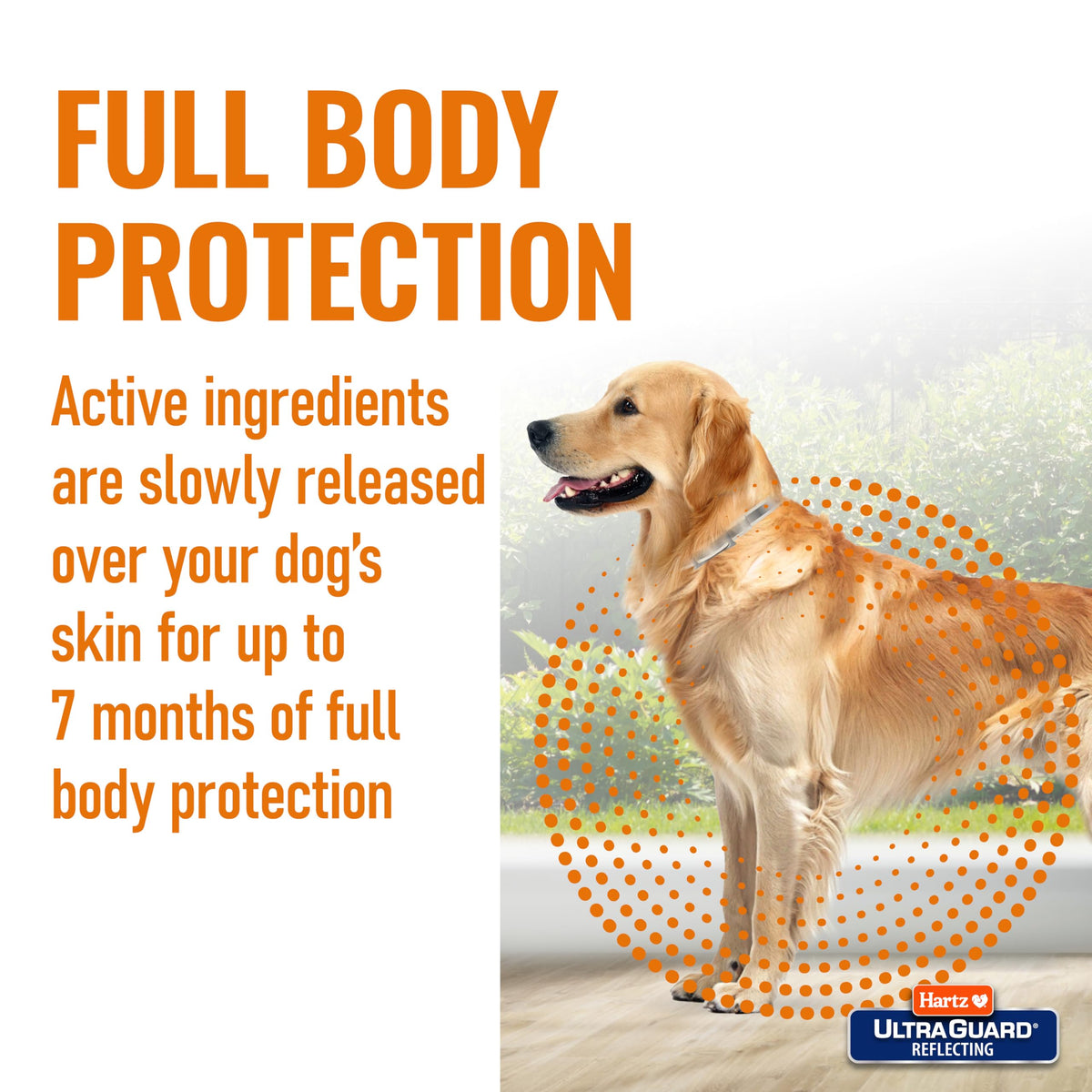 Flea & Tick Collar for Dogs and Puppies W96866