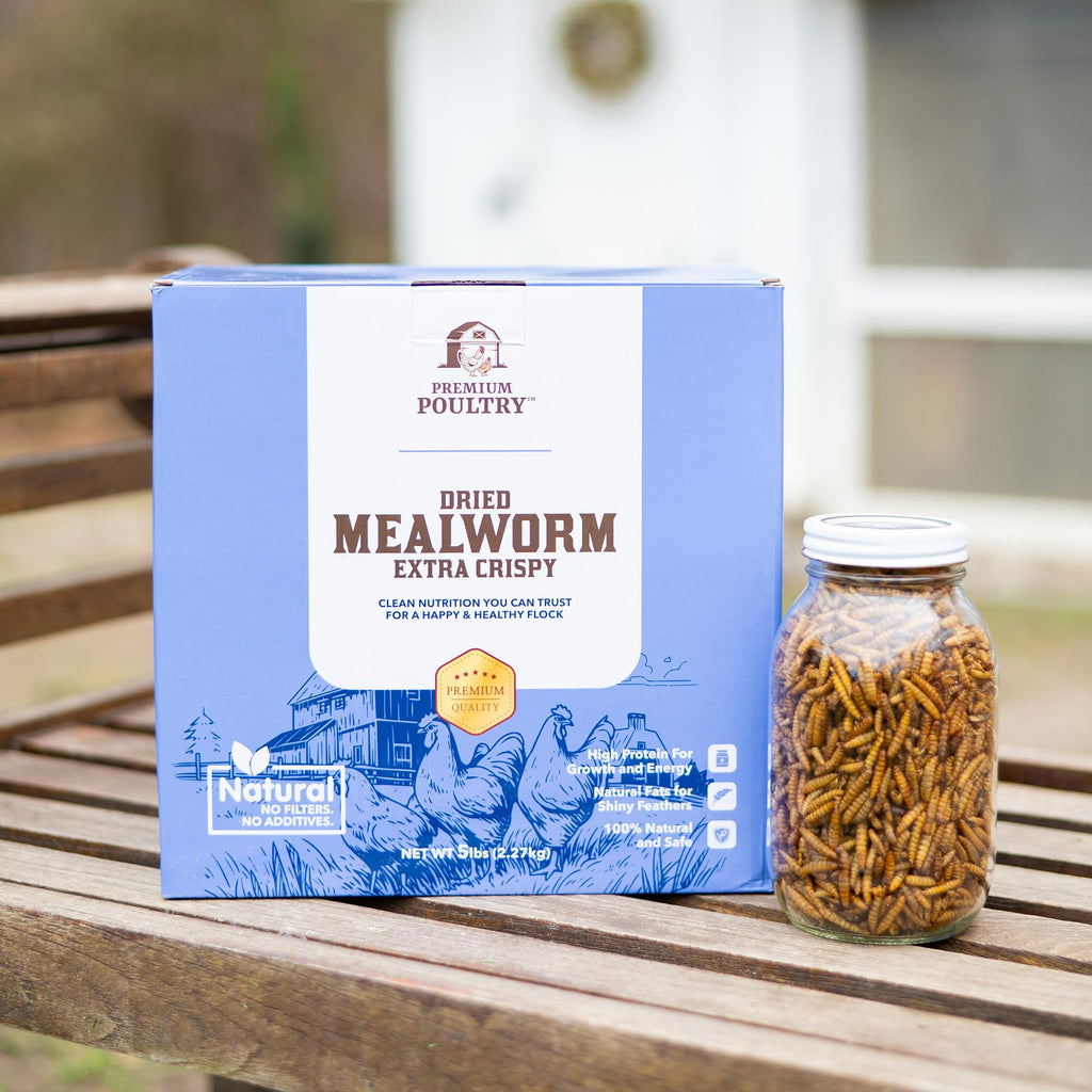 Mealworms for Chickens & Wild Birds, 5lb, 4-Pack K526340