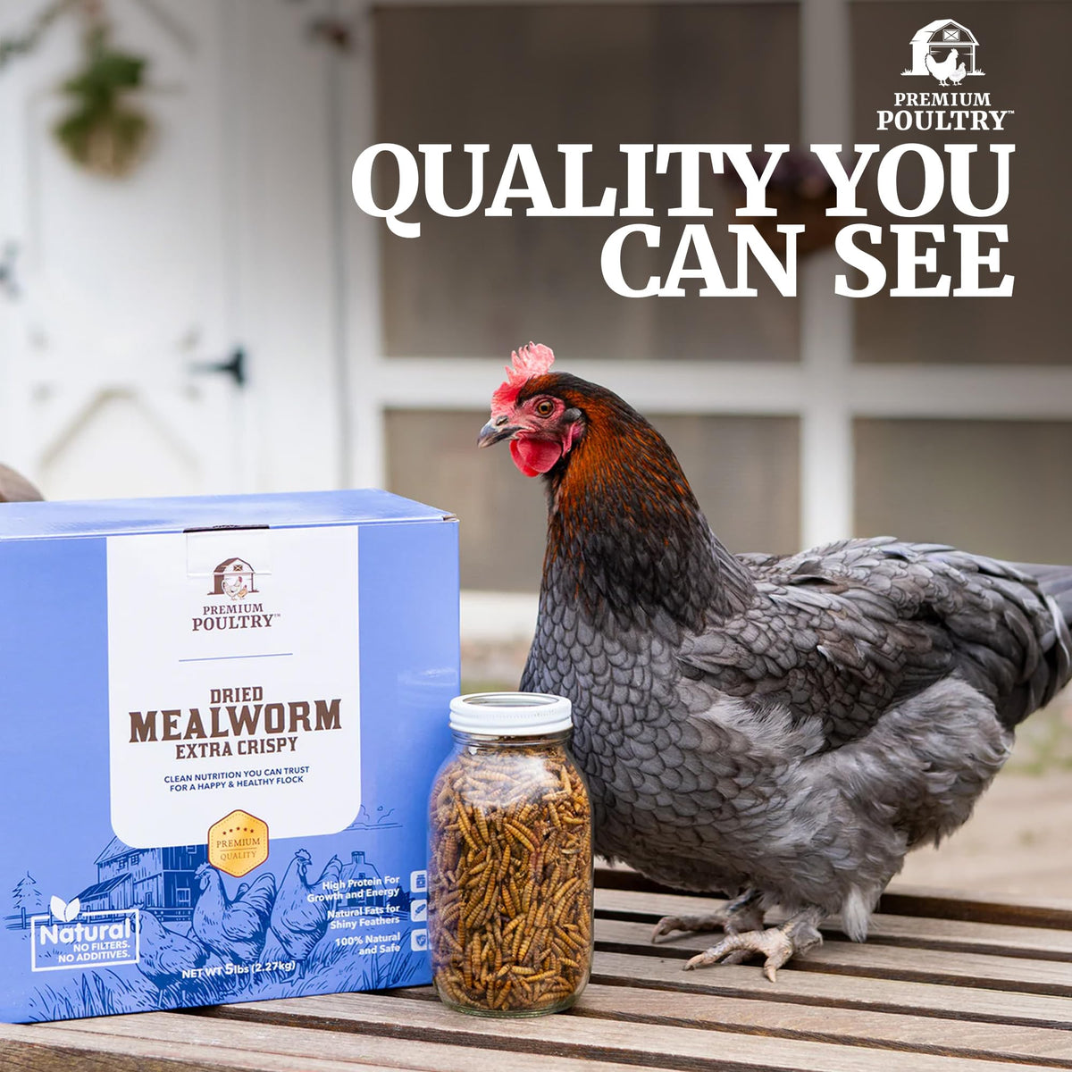 Mealworms for Chickens & Wild Birds, 5lb, 4-Pack K526340