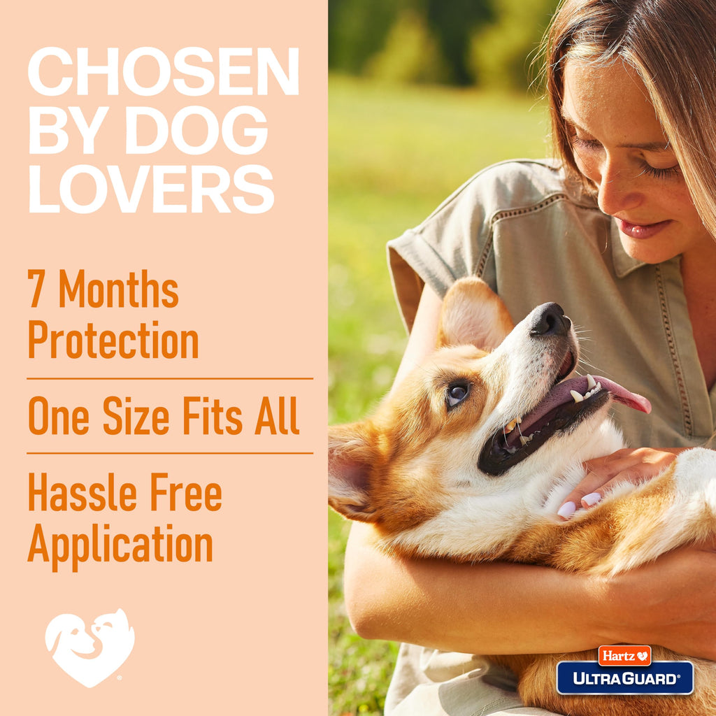 Flea & Tick Collar for Dogs and Puppies W96866